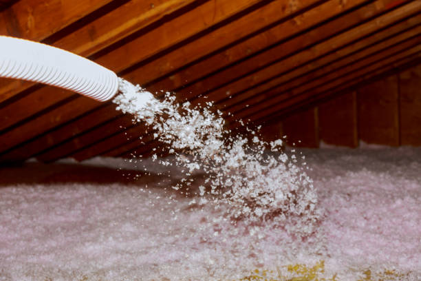 Insulation Inspection Services in Bridgetown, MS