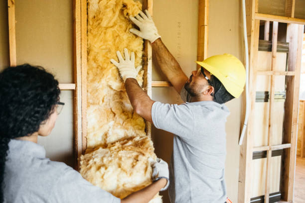 Insulation Contractors for Homes